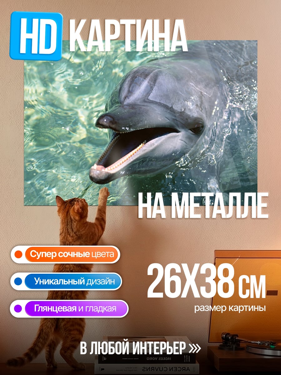 Картина на металле Улыбающийся дельфин в воде