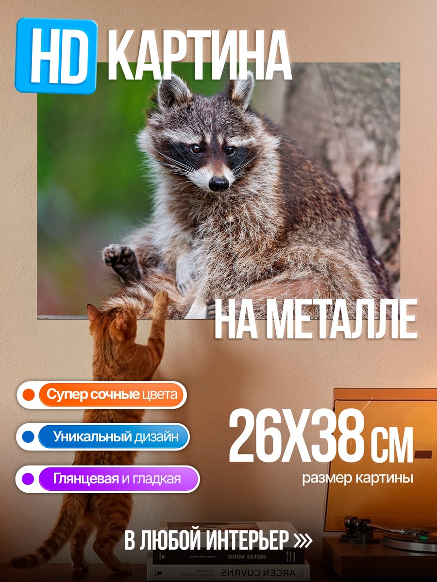 Картина на металле Енот сидит на дереве