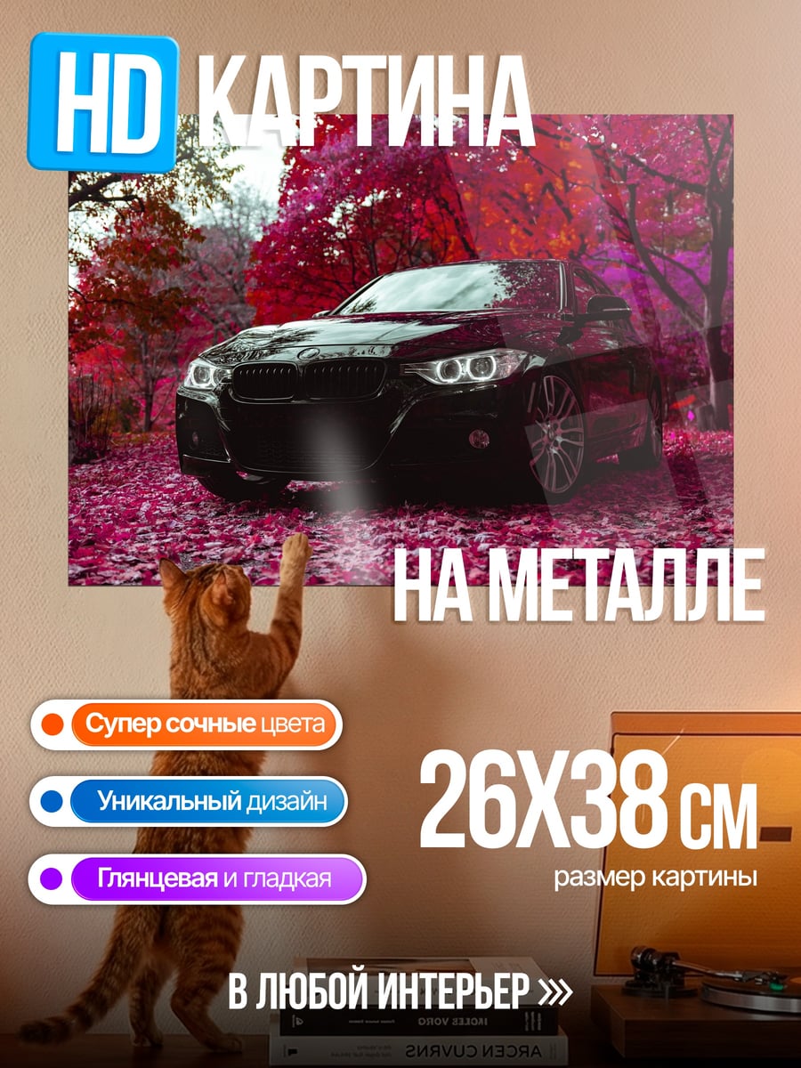 Картина на металле Черный автомобиль в лесу