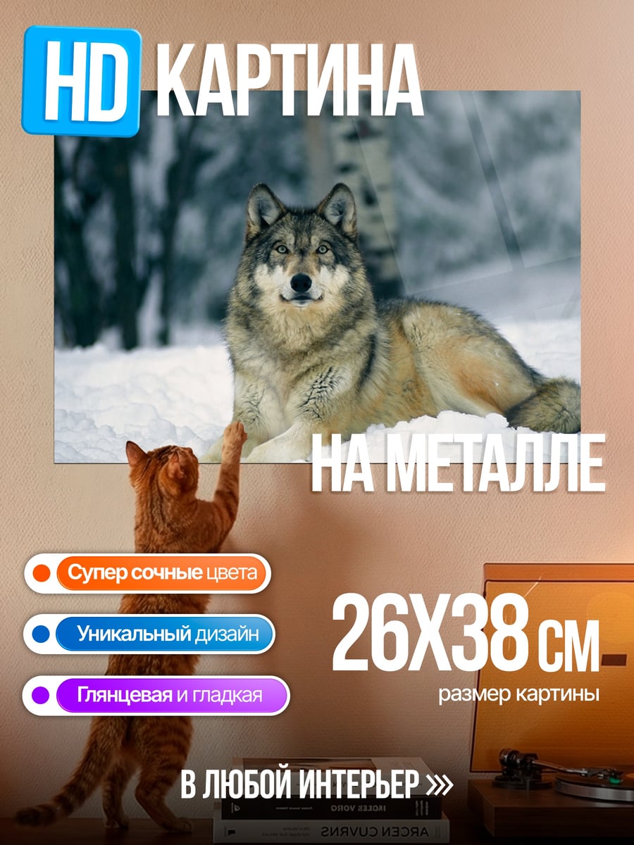 Картина на металле Волк в снегу