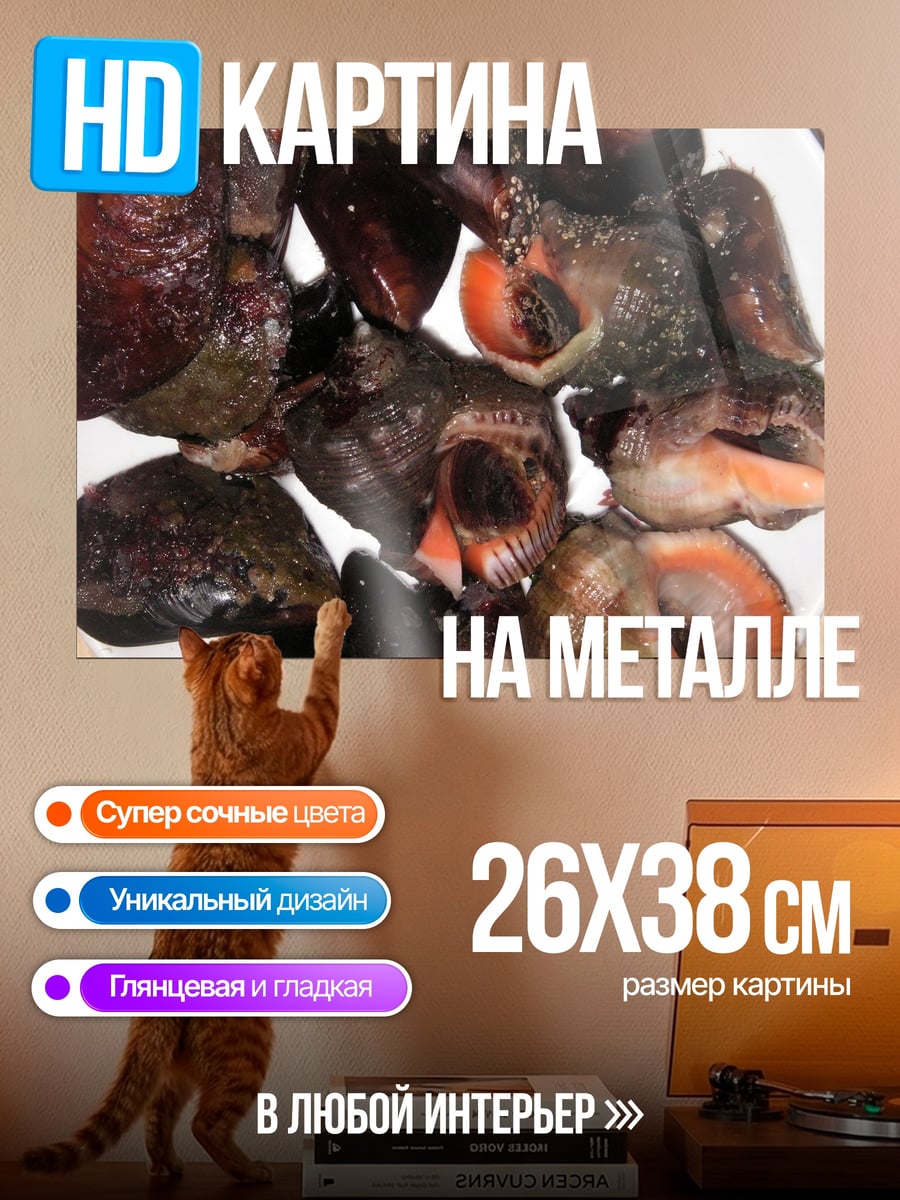 Картина на металле Морские улитки