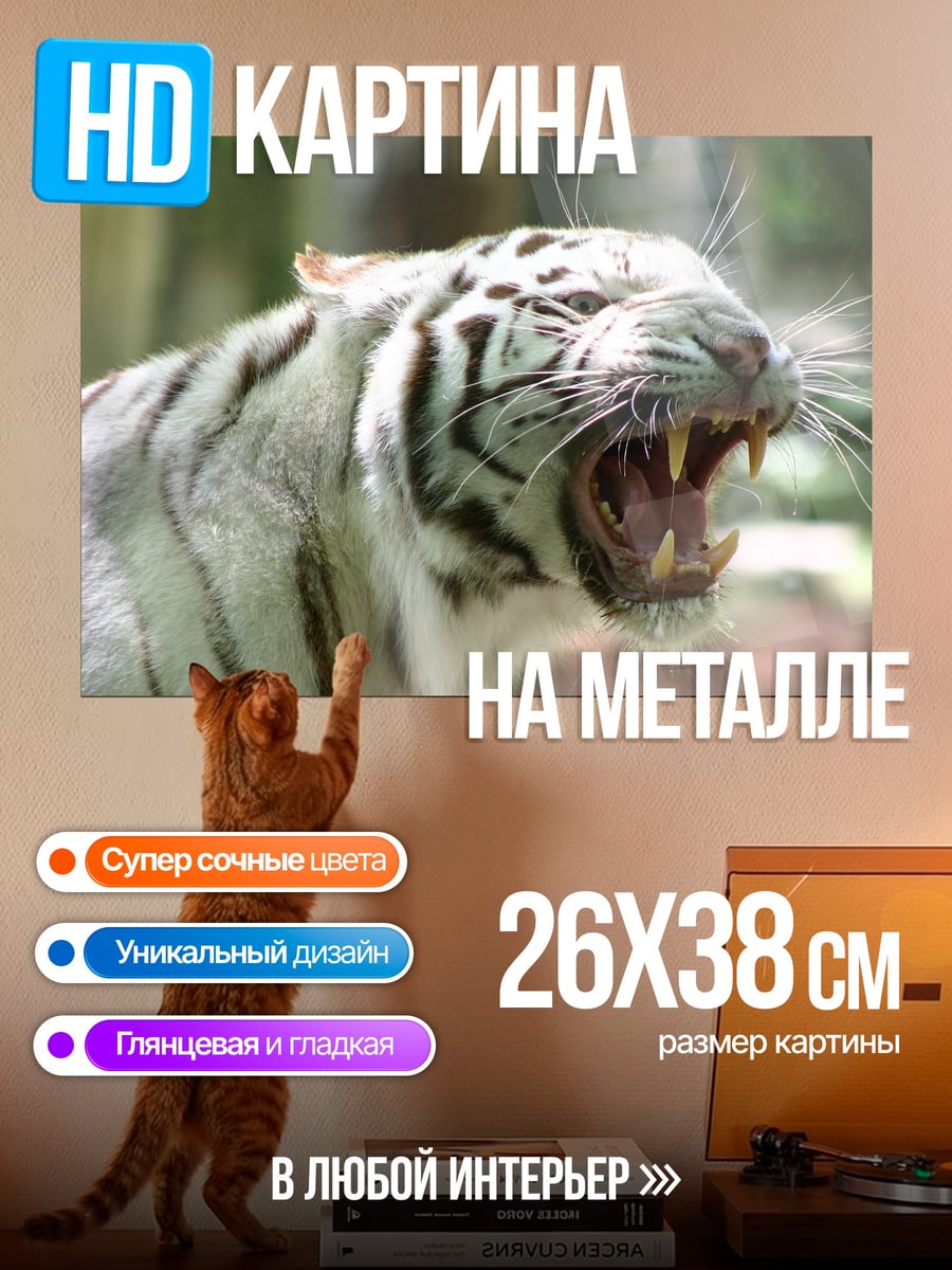 Картина на металле Белый тигр рычит