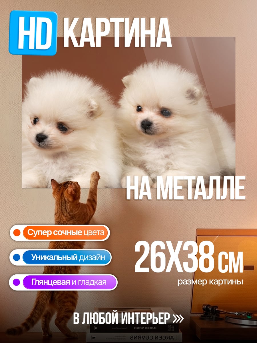 Картина на металле Два шпица