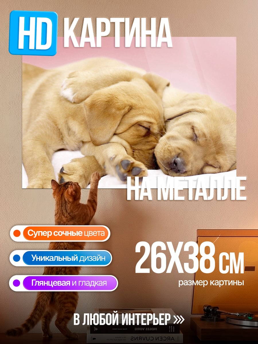 Картина на металле Спящие щенки