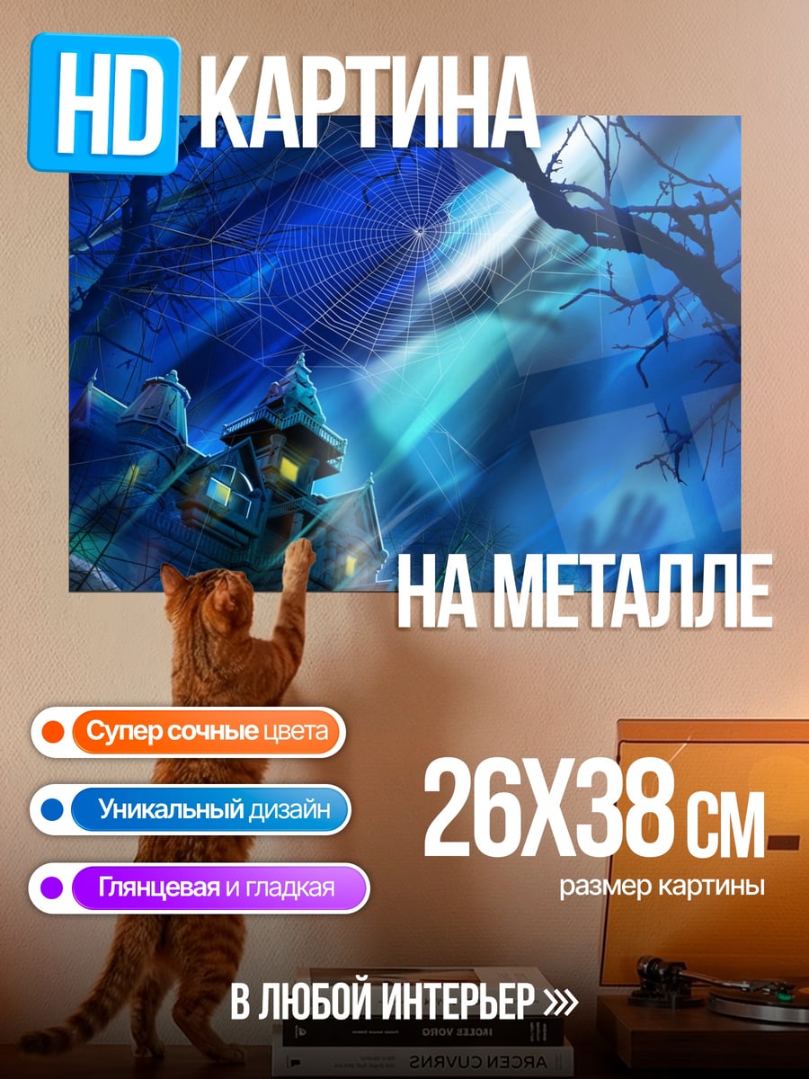 Картина на металле Дом с паутиной