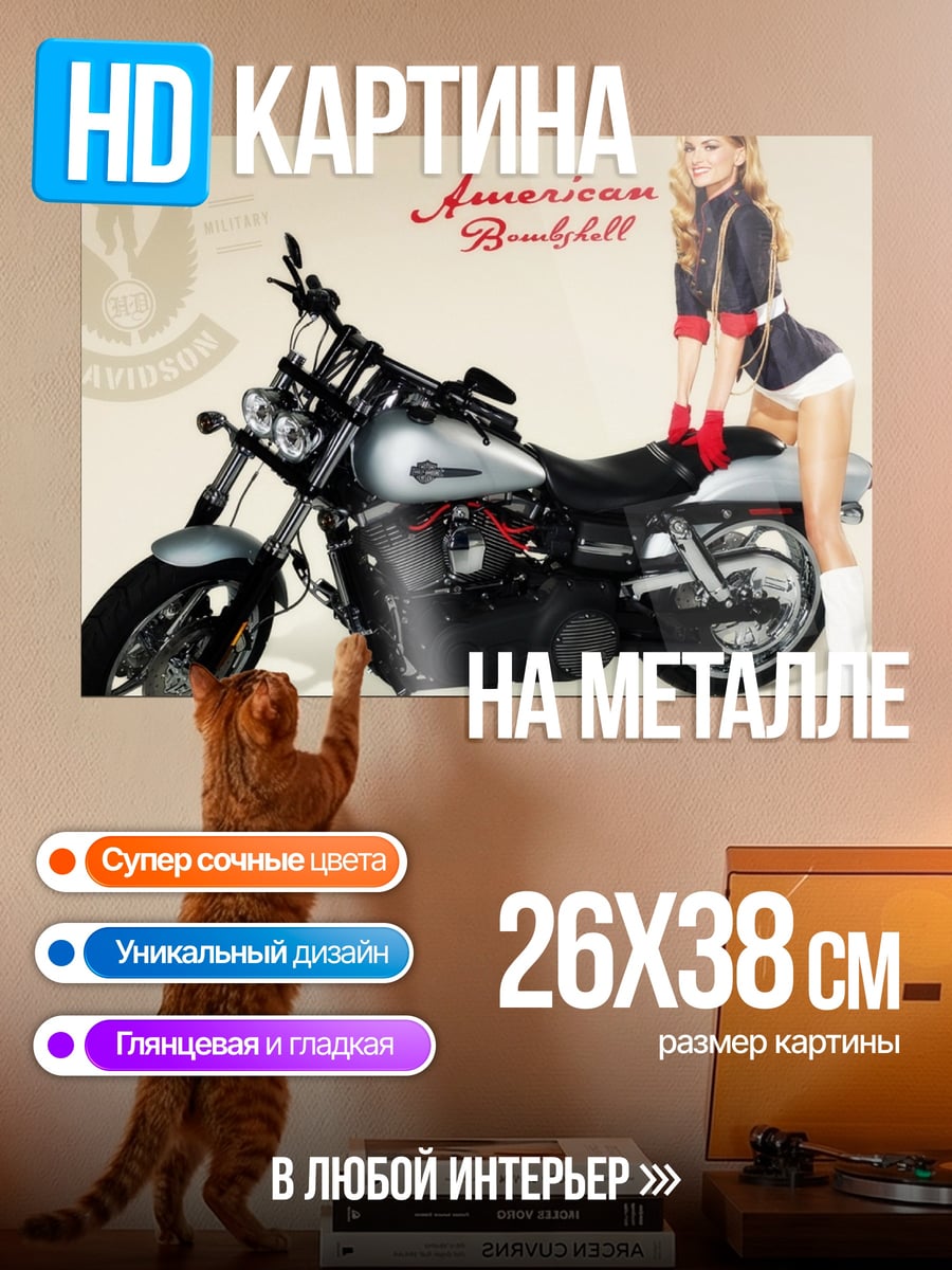 Картина на металле Американский байкер