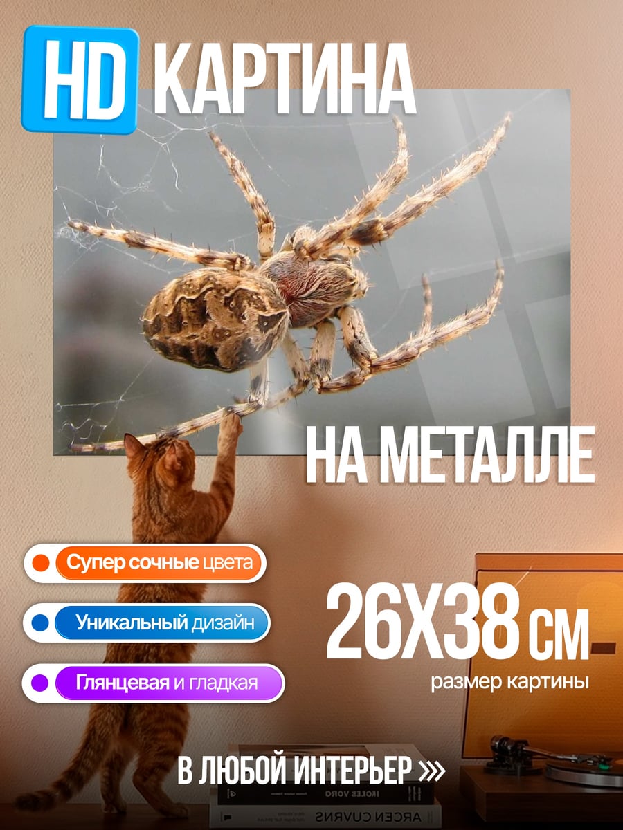 Картина на металле Паук на паутине
