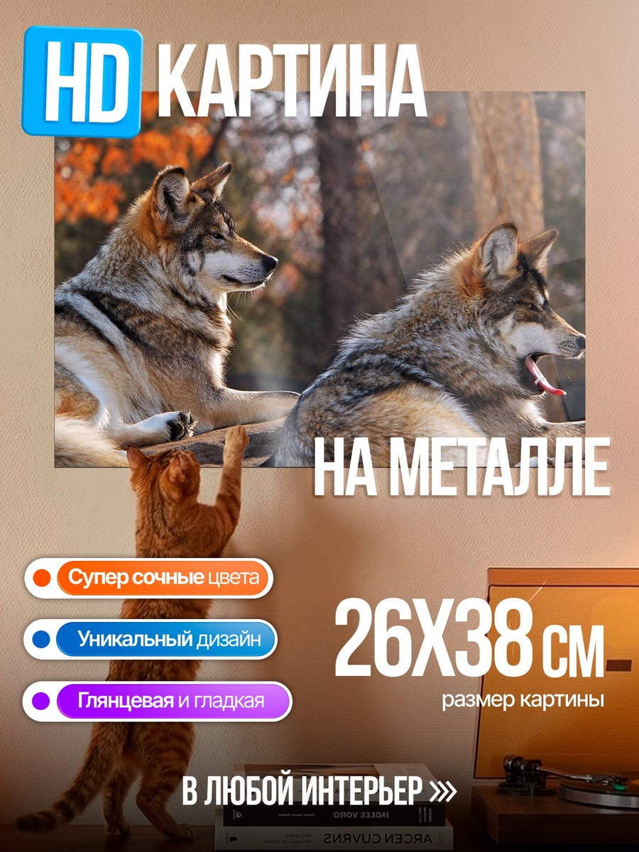 Картина на металле Два волка лежат