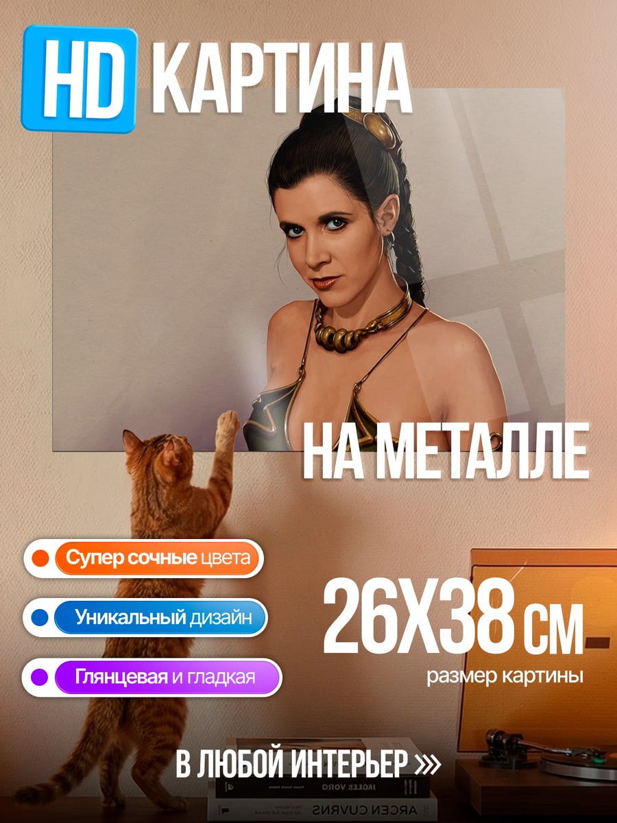 Картина на металле Принцесса Лея