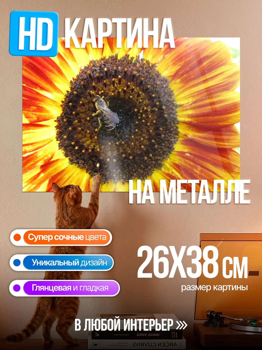 Картина на металле Пчела на подсолнухе