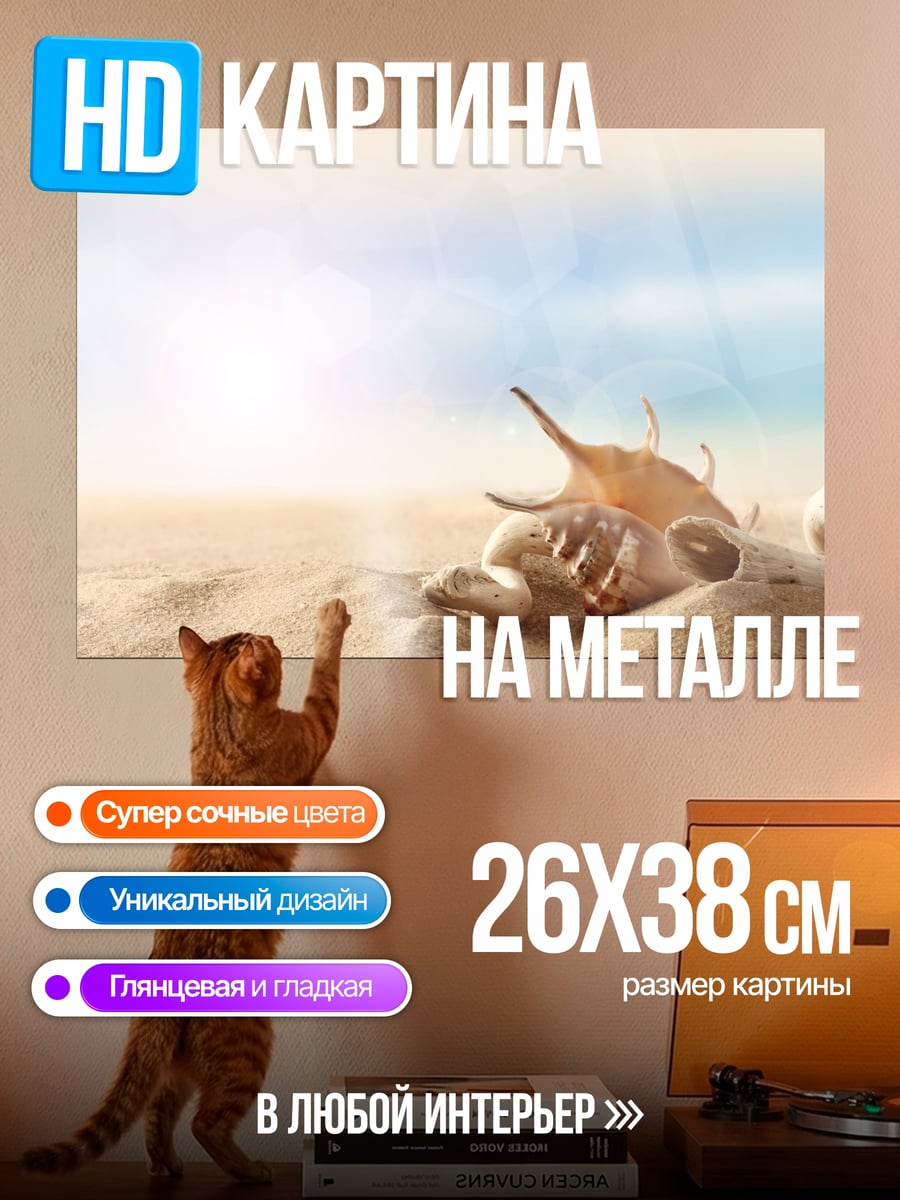 Картина на металле Морские ракушки