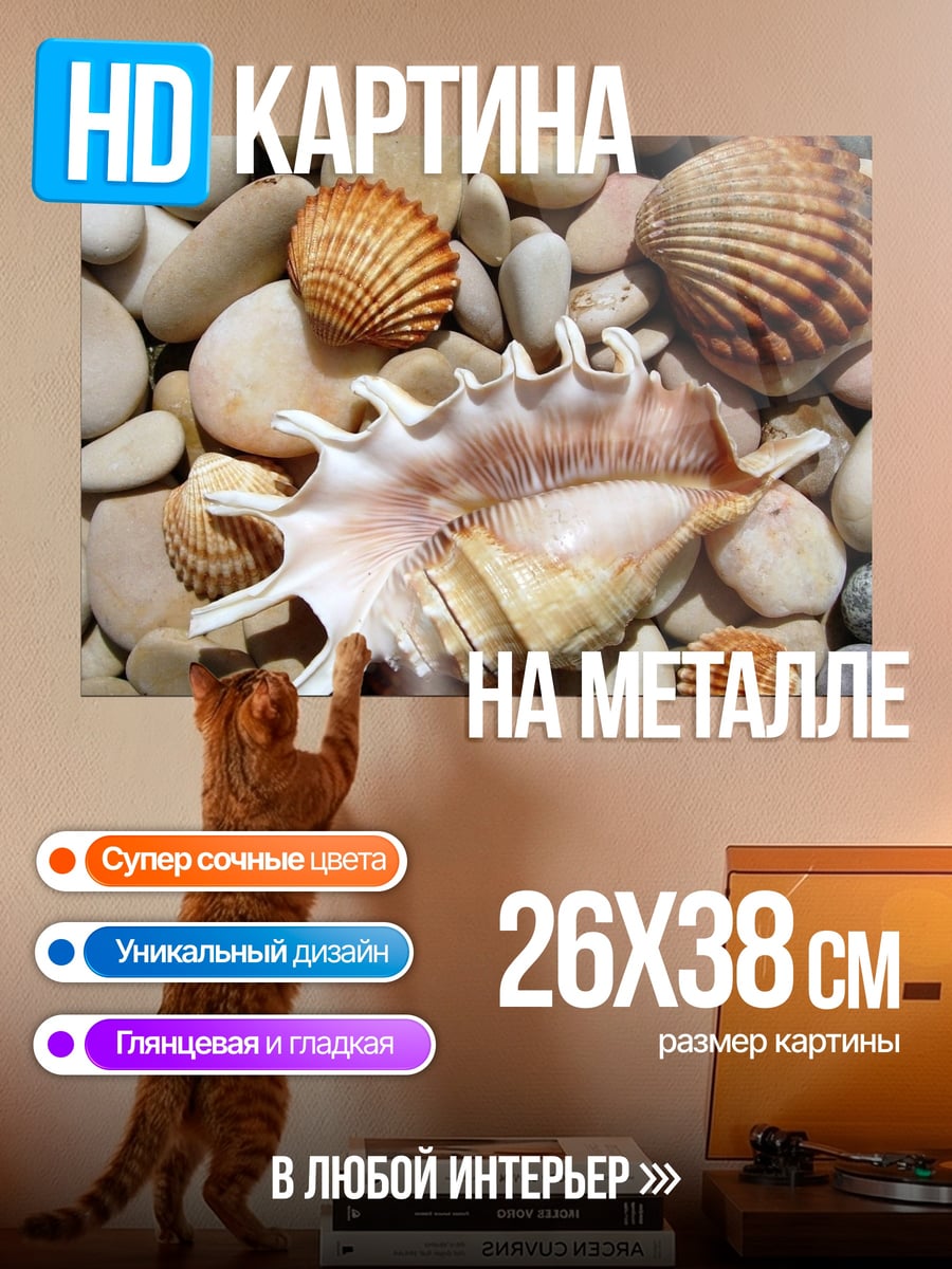 Картина на металле Морские ракушки