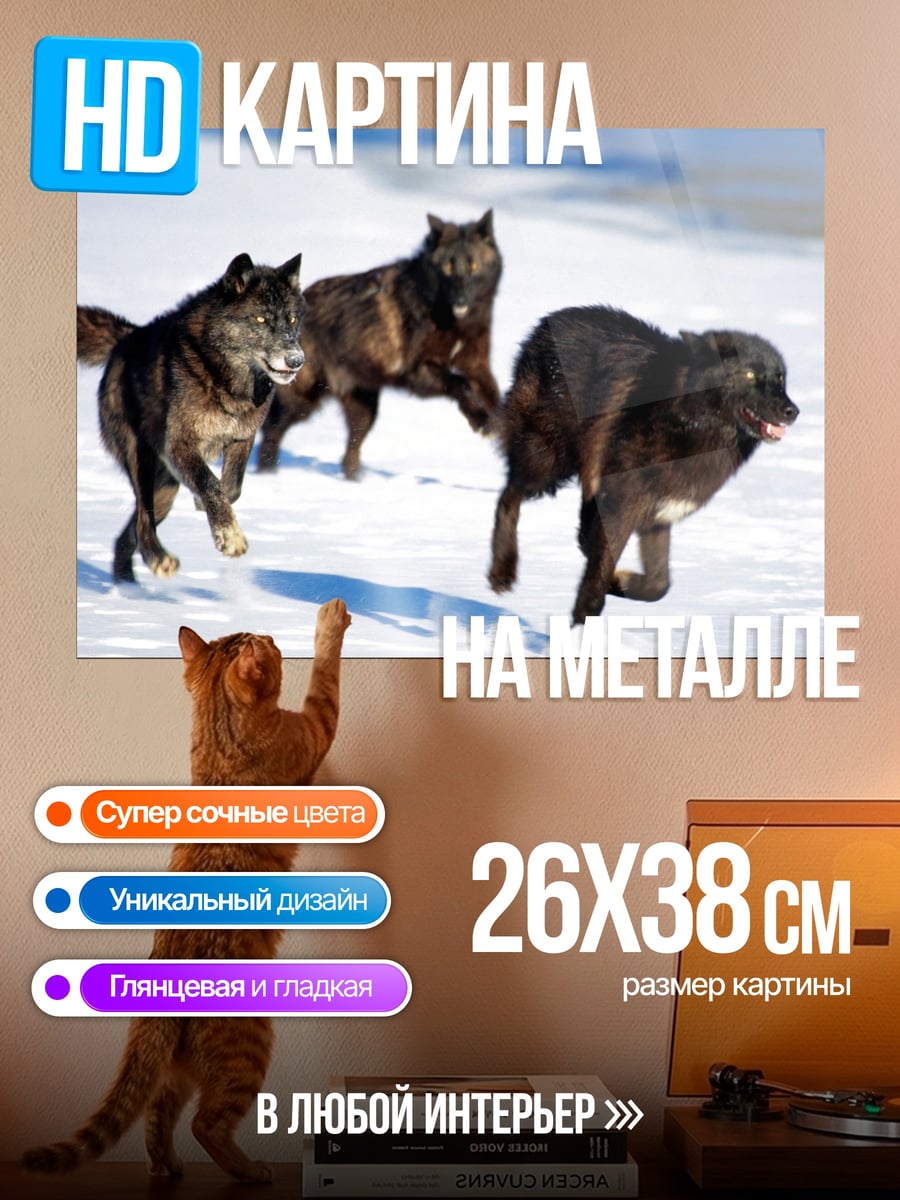 Картина на металле черные волки