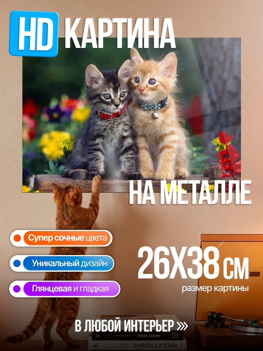Картина на металле Два котенка