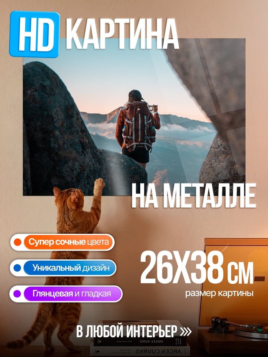 Картина на металле Путешественник на вершине