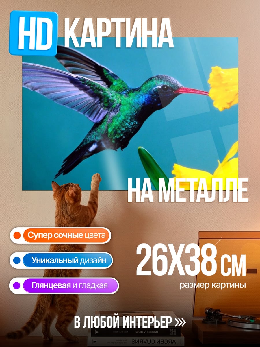 Картина на металле колибри и нарциссы