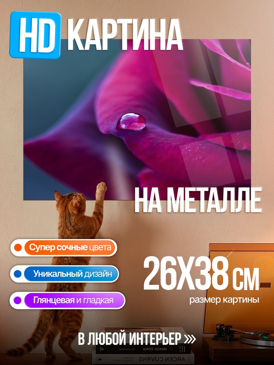 Картина на металле капля на лепестке