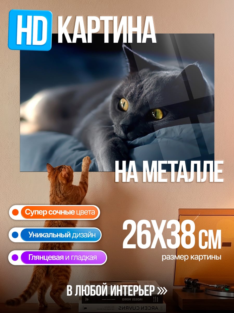 Картина на металле серый кот лежит