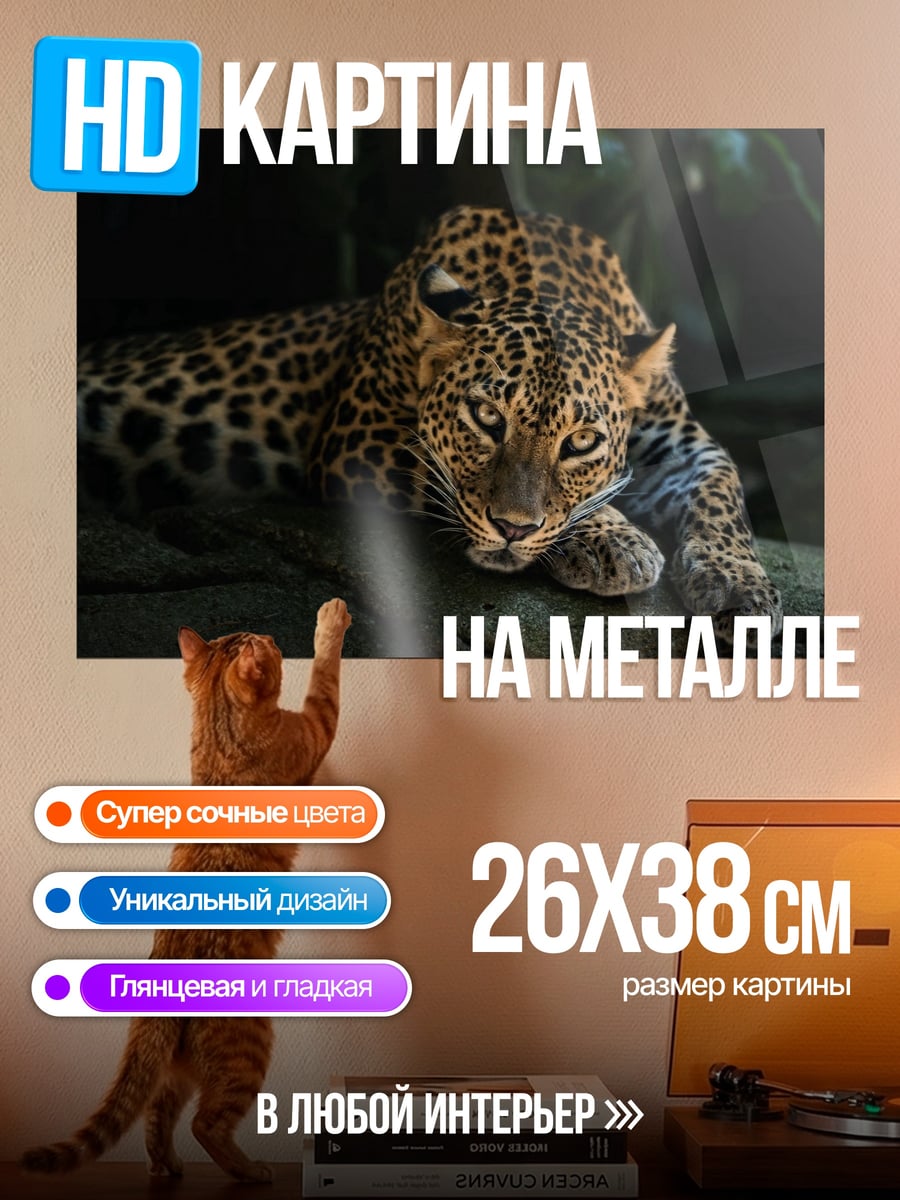 Картина на металле леопард лежит тёмный