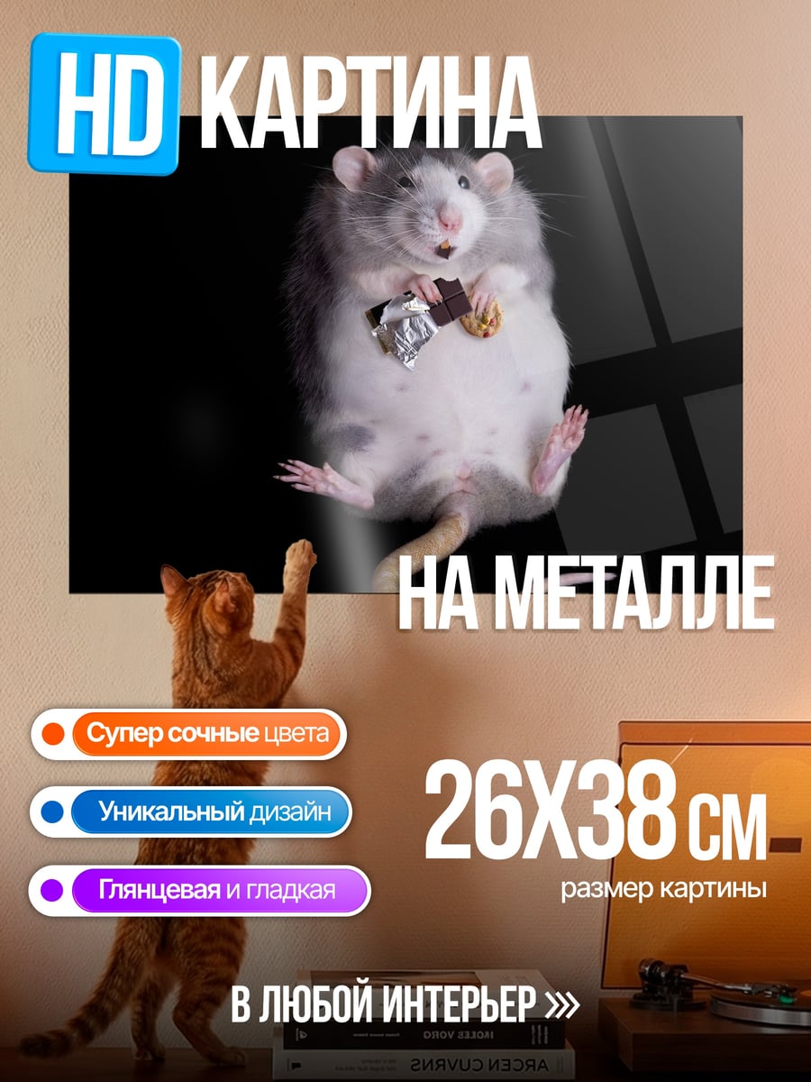 Картина на металле Крыса с шоколадом