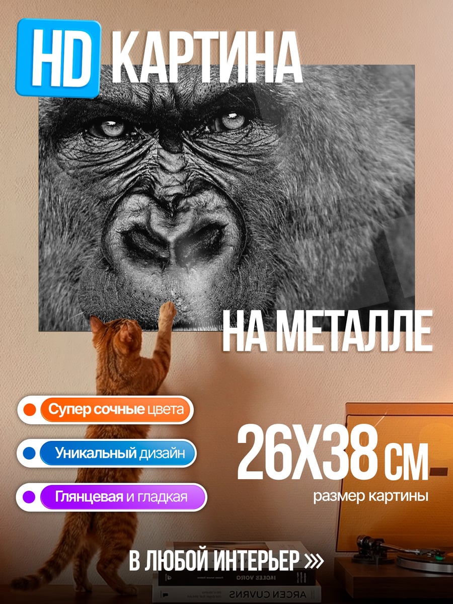 Картина на металле Портрет гориллы