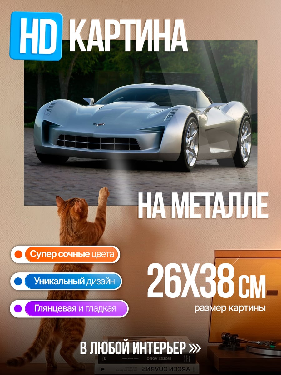 Картина на металле серебристый спорткар