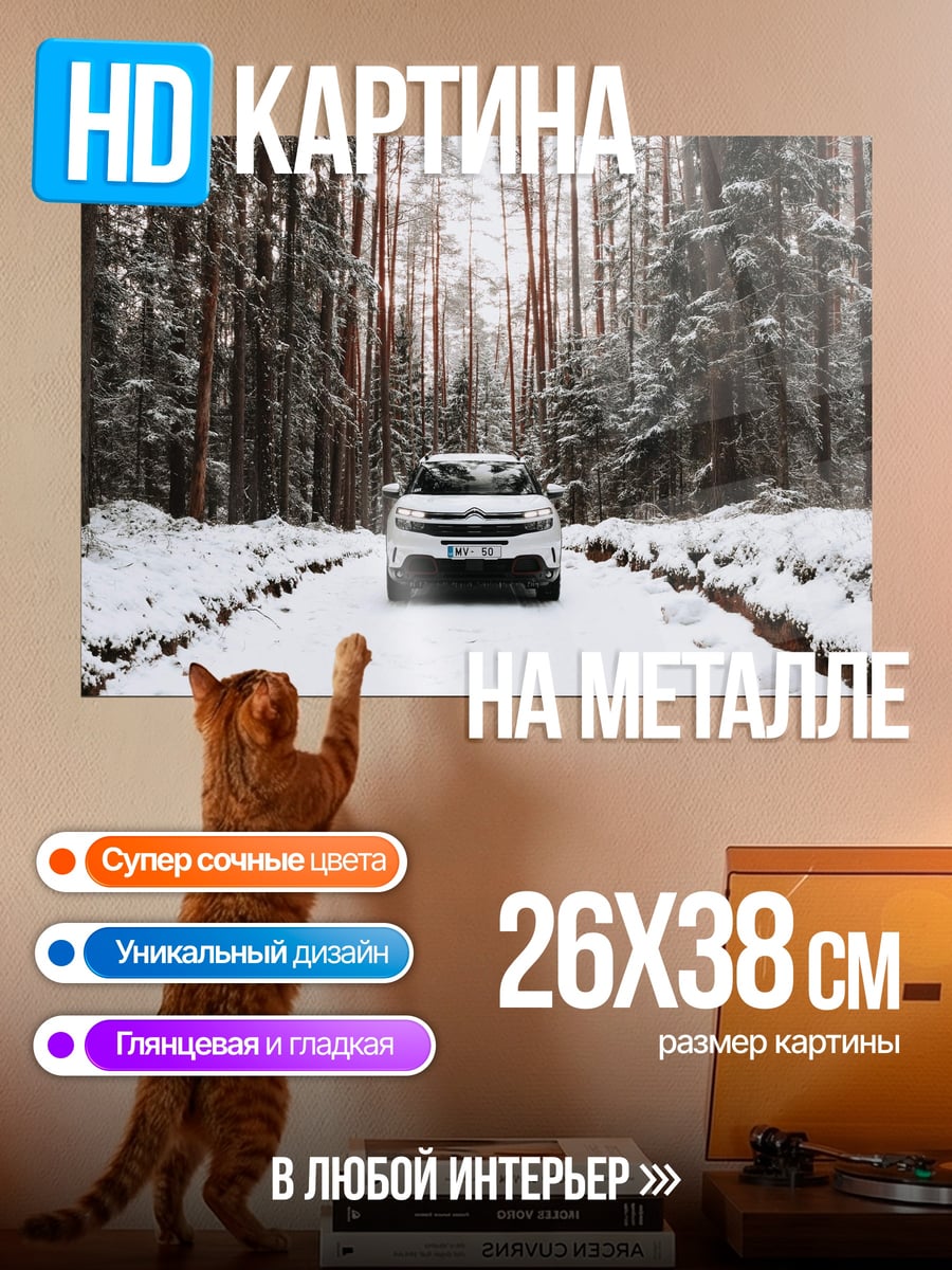 Картина на металле Автомобиль в снегу