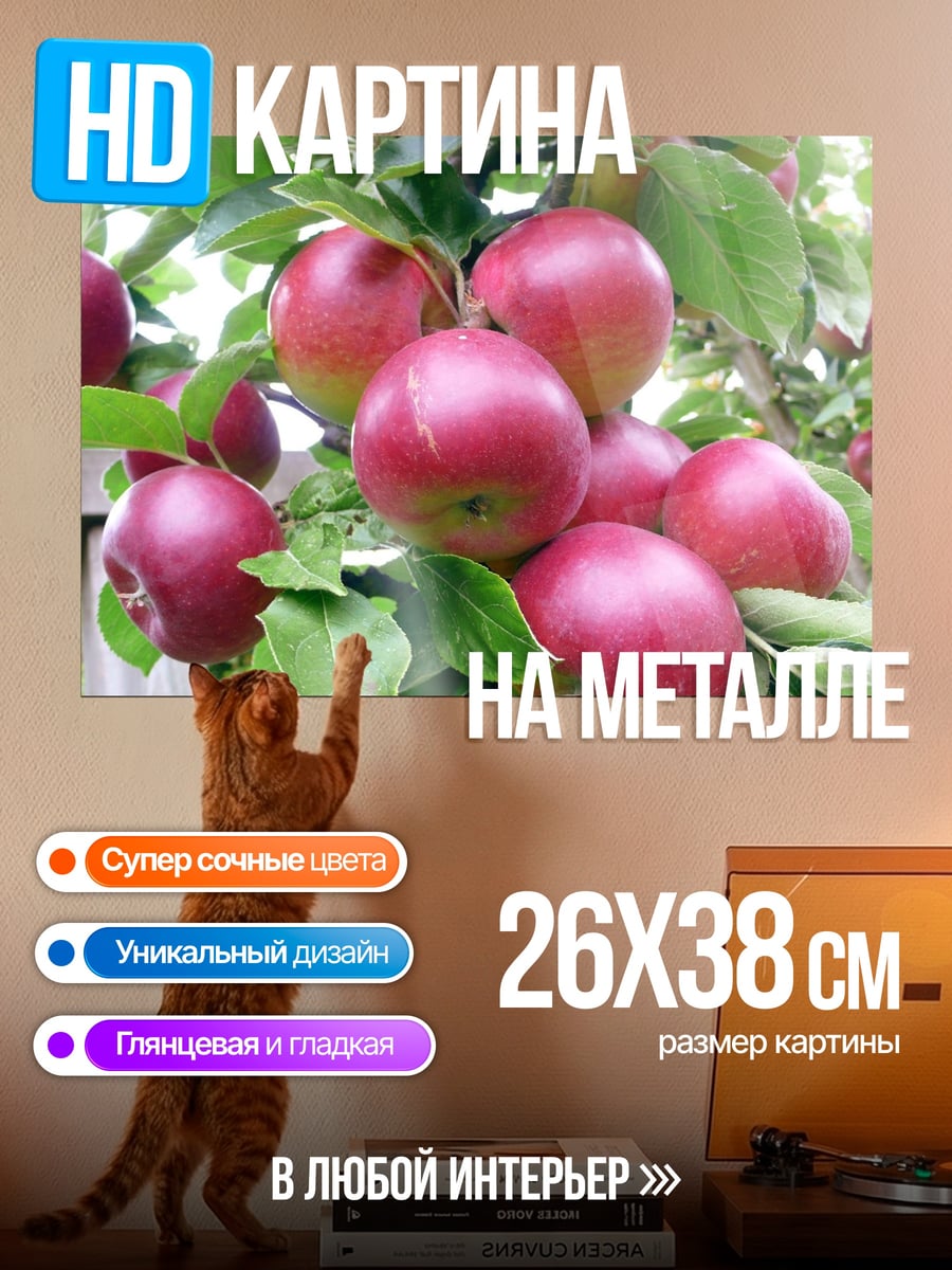 Картина на металле Спелые красные яблоки