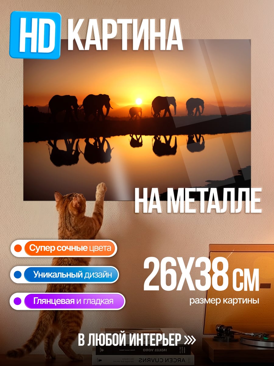 Картина на металле Слоны на закате