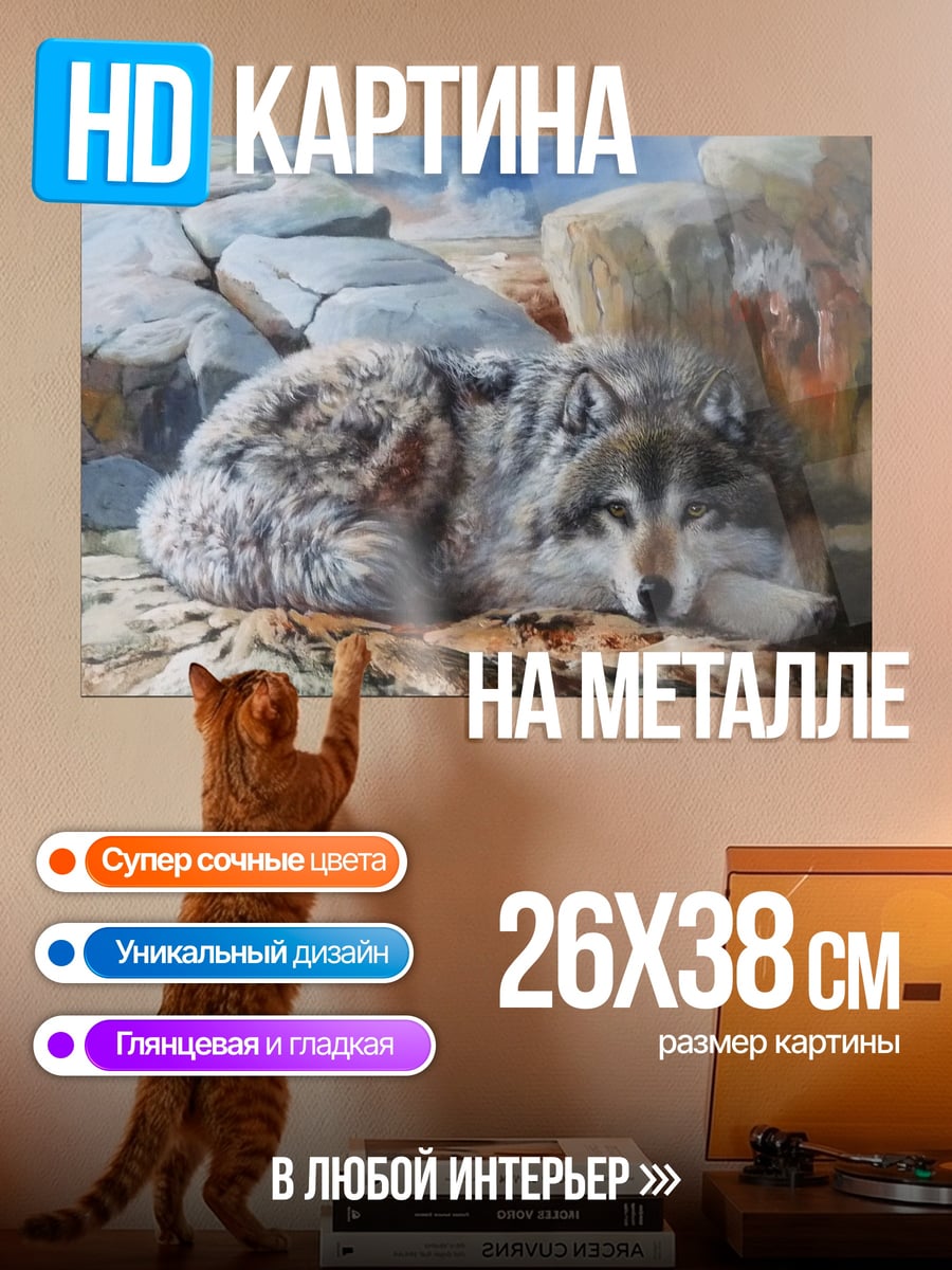 Картина на металле Лежащий волк