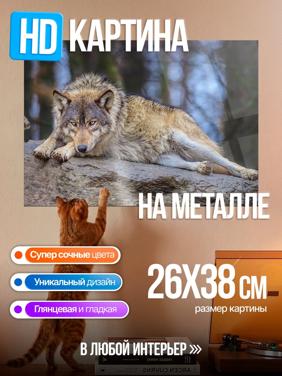 Картина на металле Лежащий волк