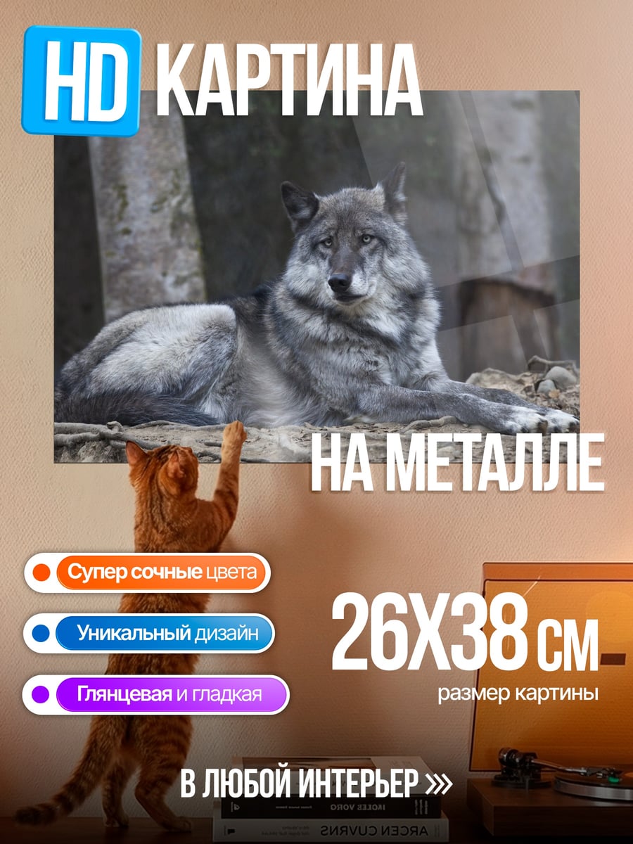 Картина на металле Серый волк