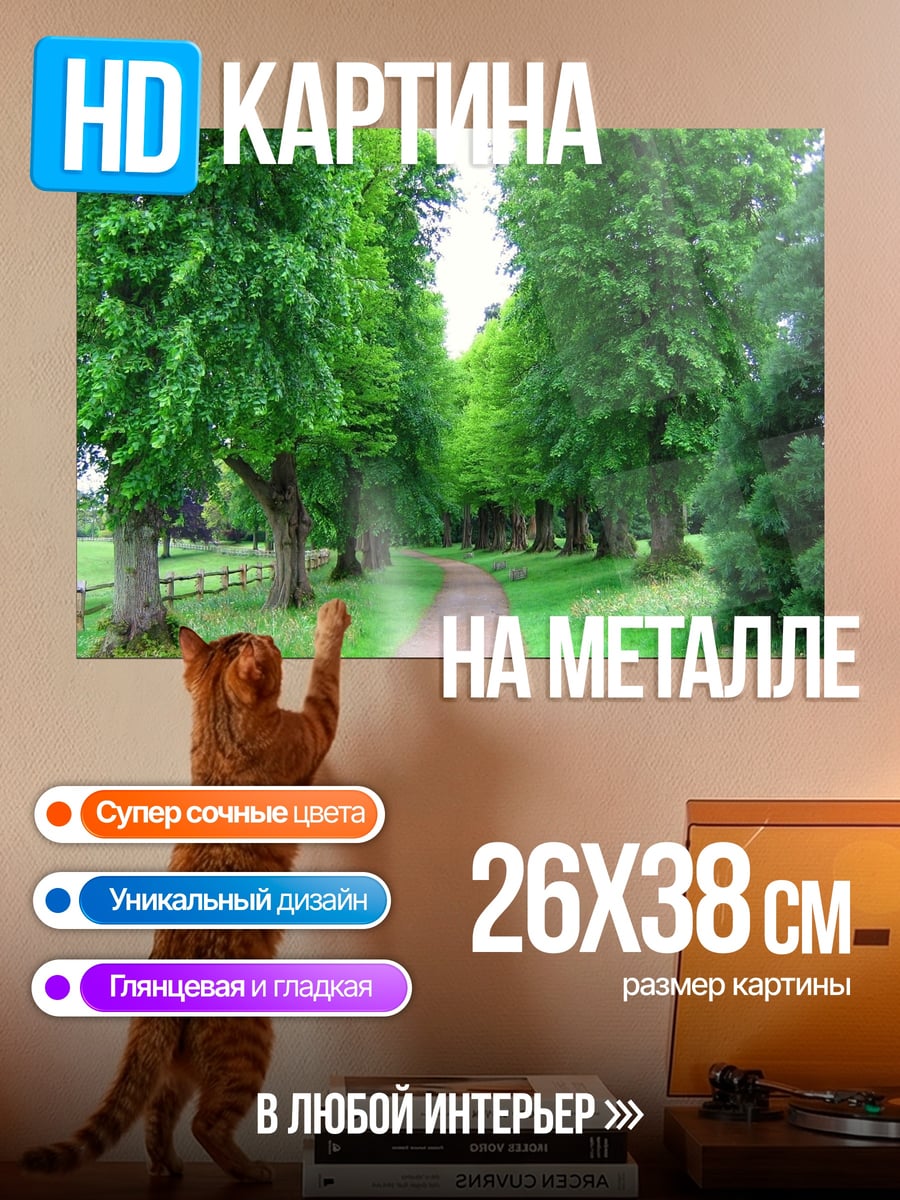 Картина на металле Аллея деревьев