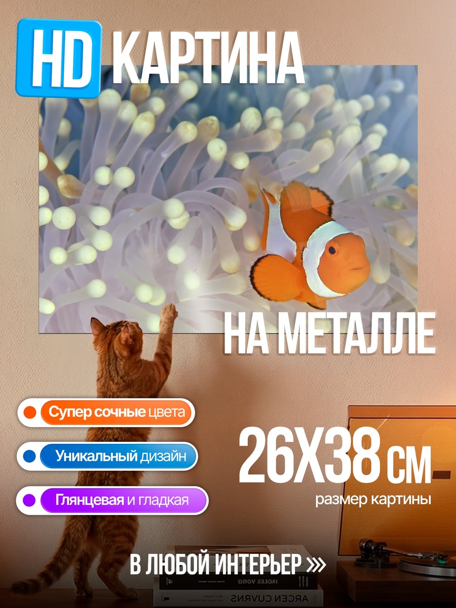 Картина на металле Рыбка клоун в анемоне