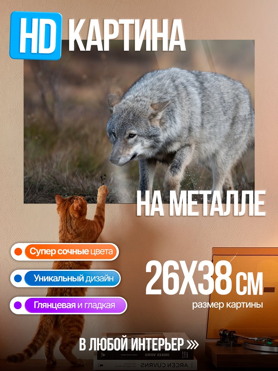 Картина на металле Серый волк