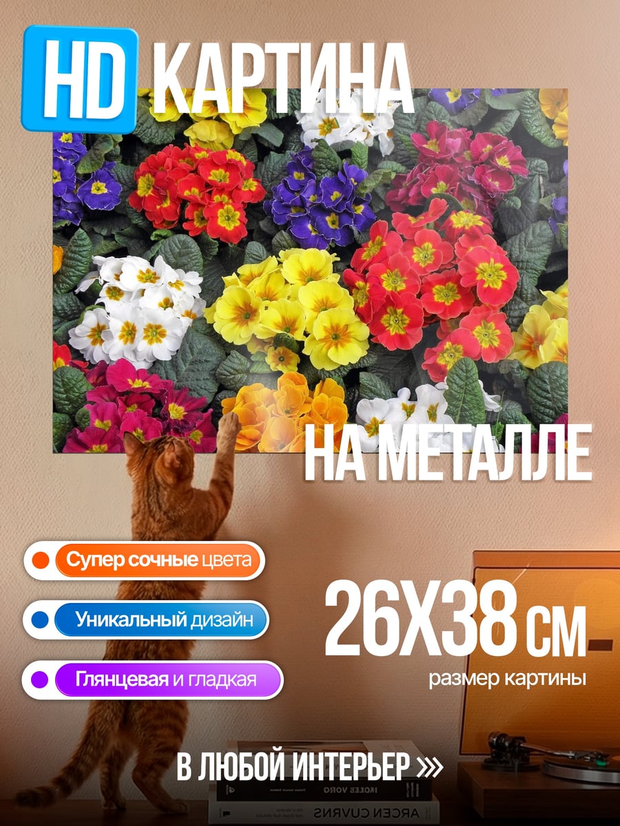 Картина на металле Яркие цветы примулы