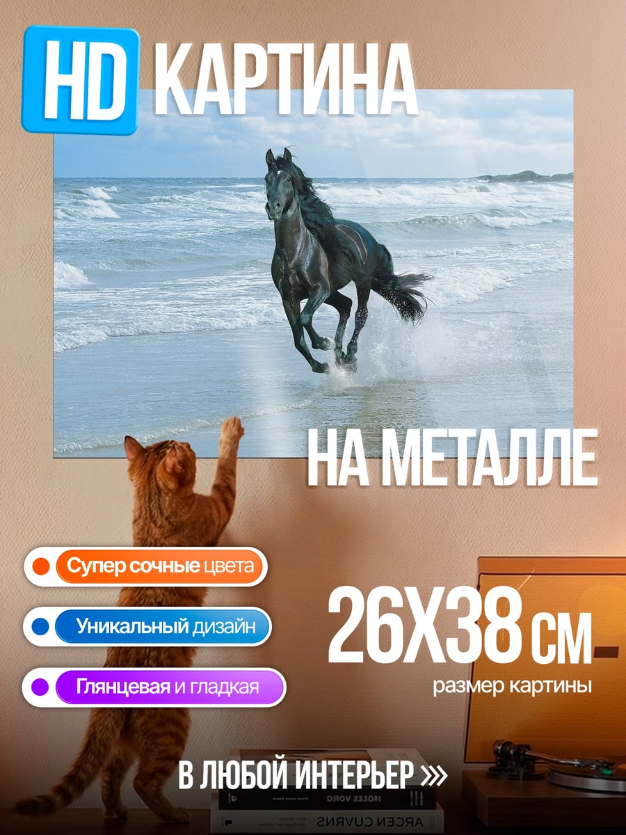 Картина на металле Черный конь на пляже