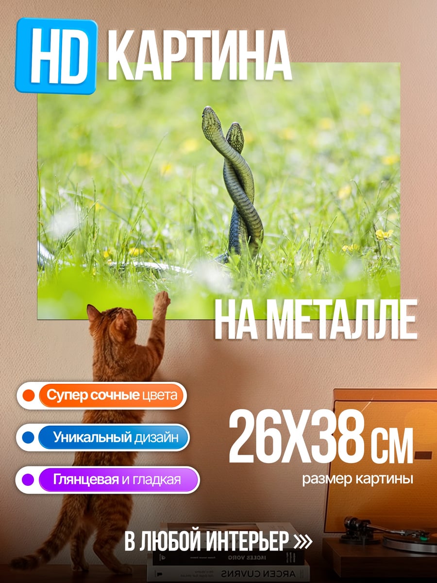 Картина на металле Две змеи в траве