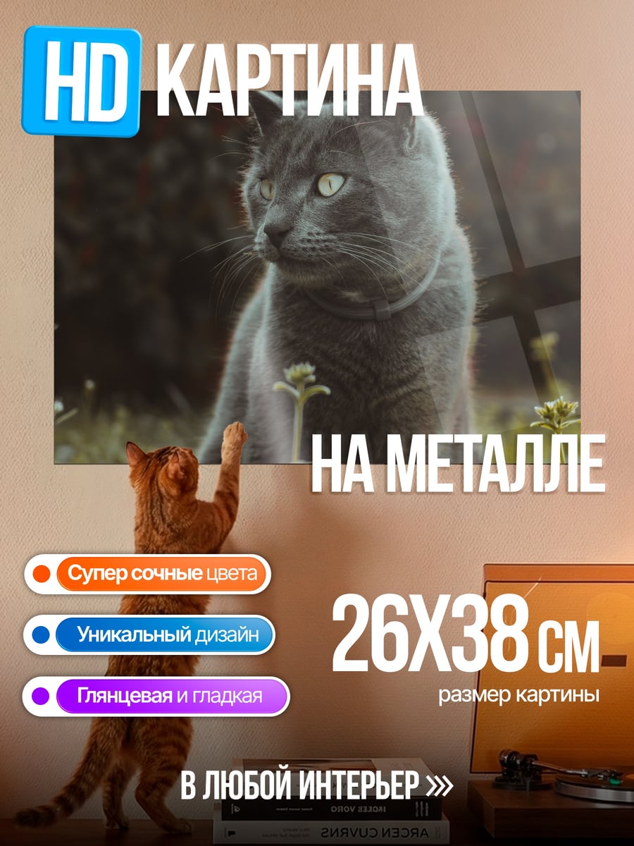 Картина на металле Серый кот