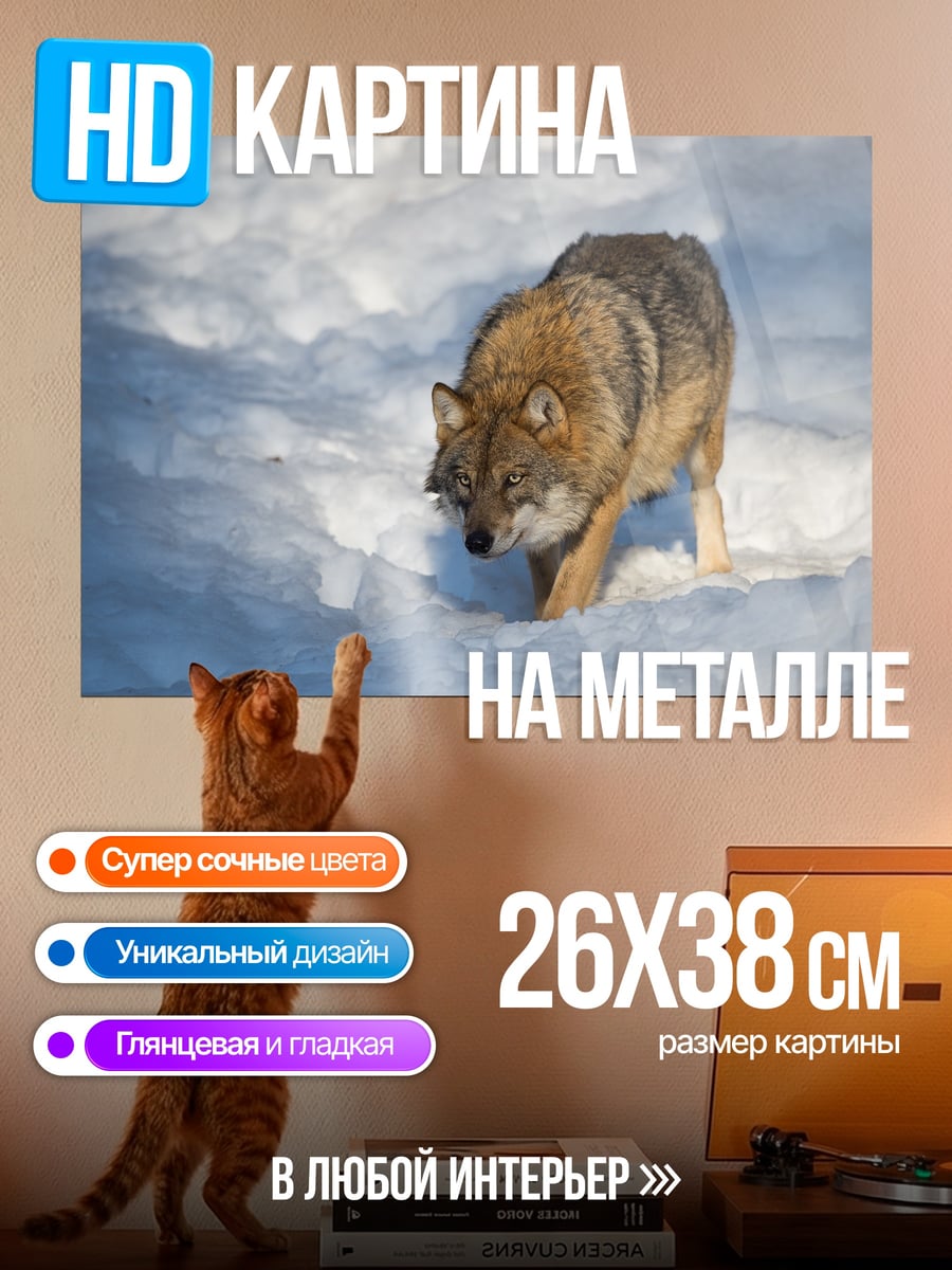 Картина на металле Волк в снегу