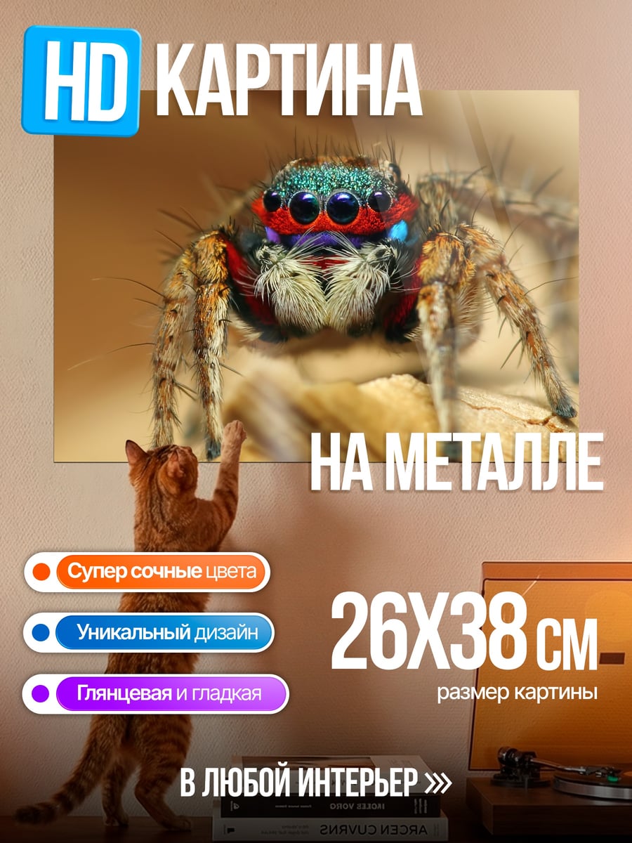Картина на металле паук прыгун