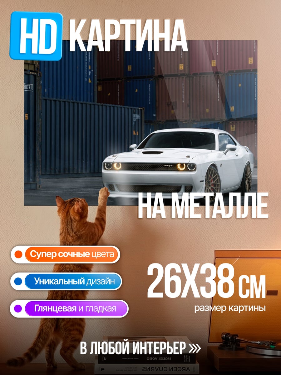 Картина на металле Белый маслкар