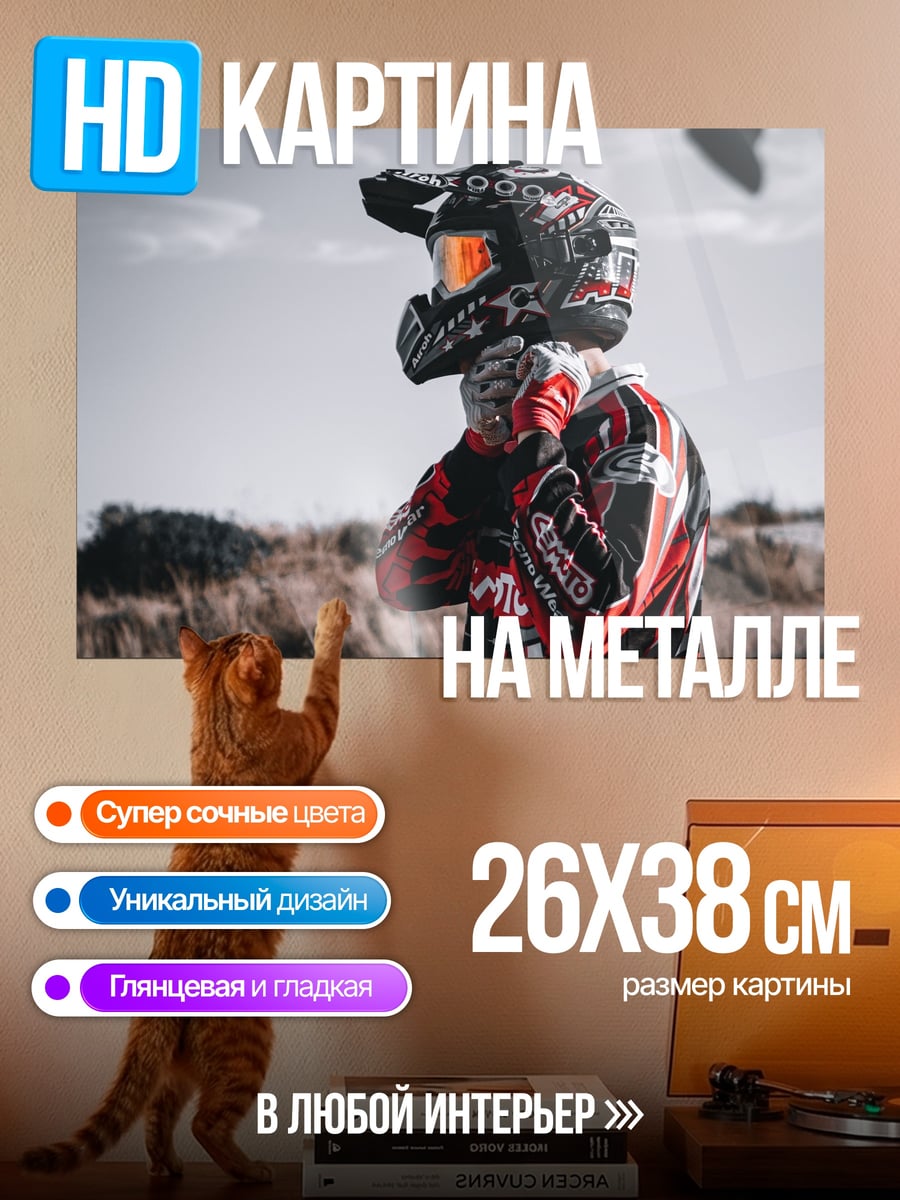 Картина на металле Мотоспорт шлем