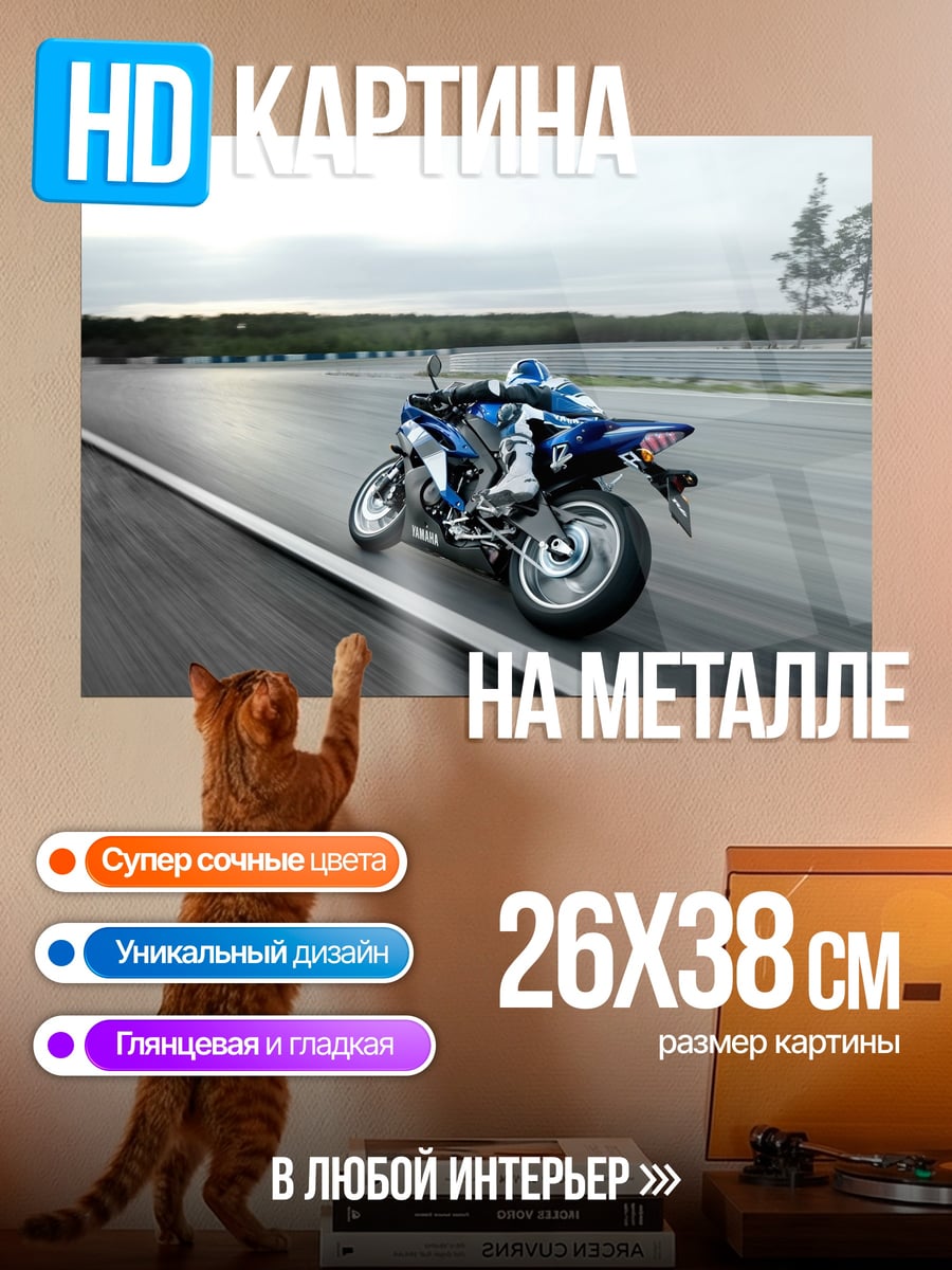 Картина на металле Мотогонщик на трассе