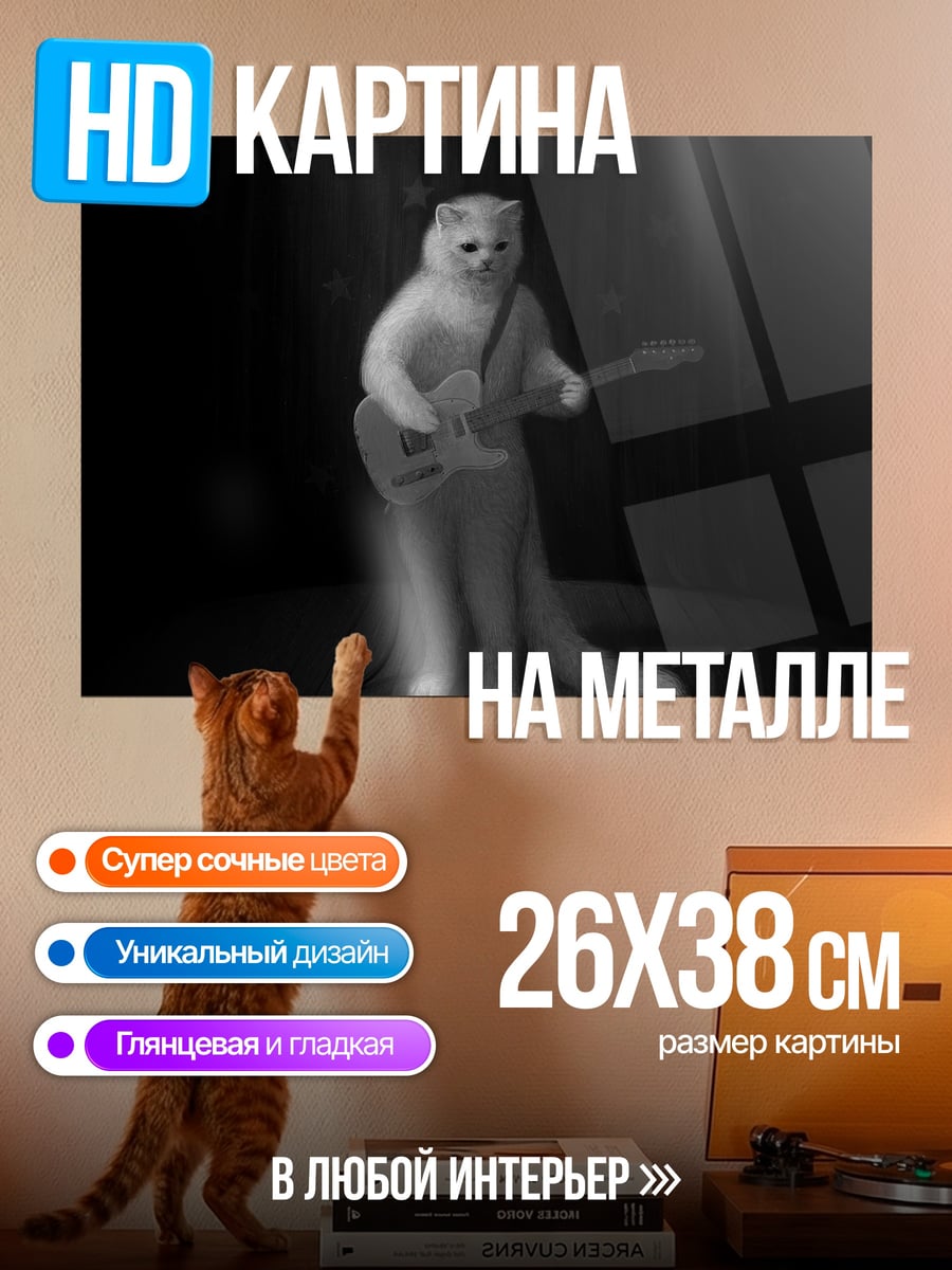 Картина на металле Кот с гитарой