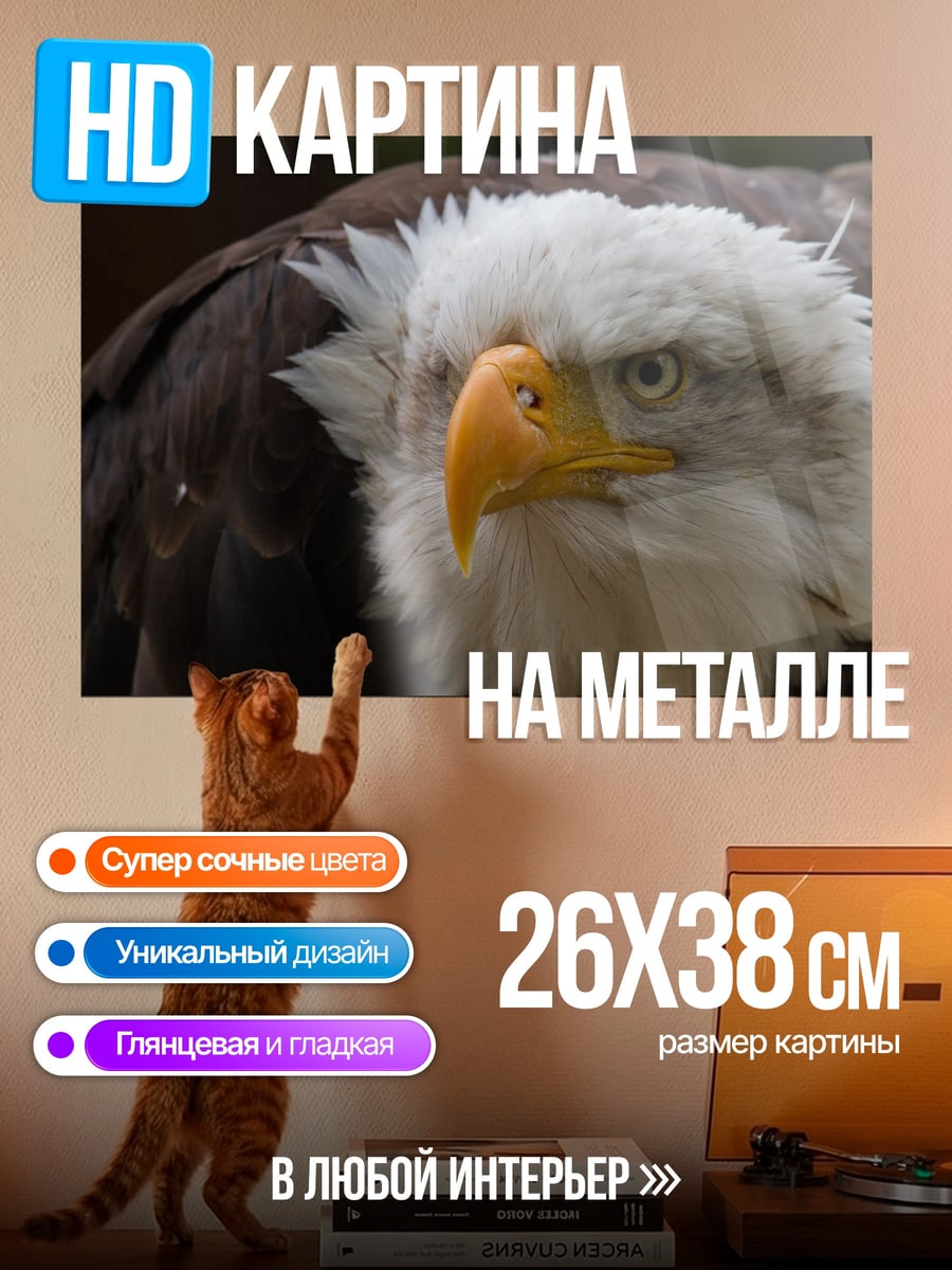 Картина на металле орел