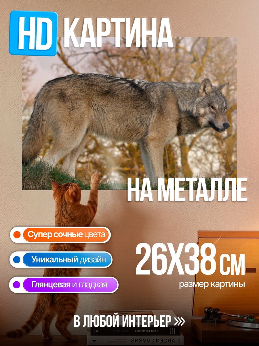 Картина на металле волк