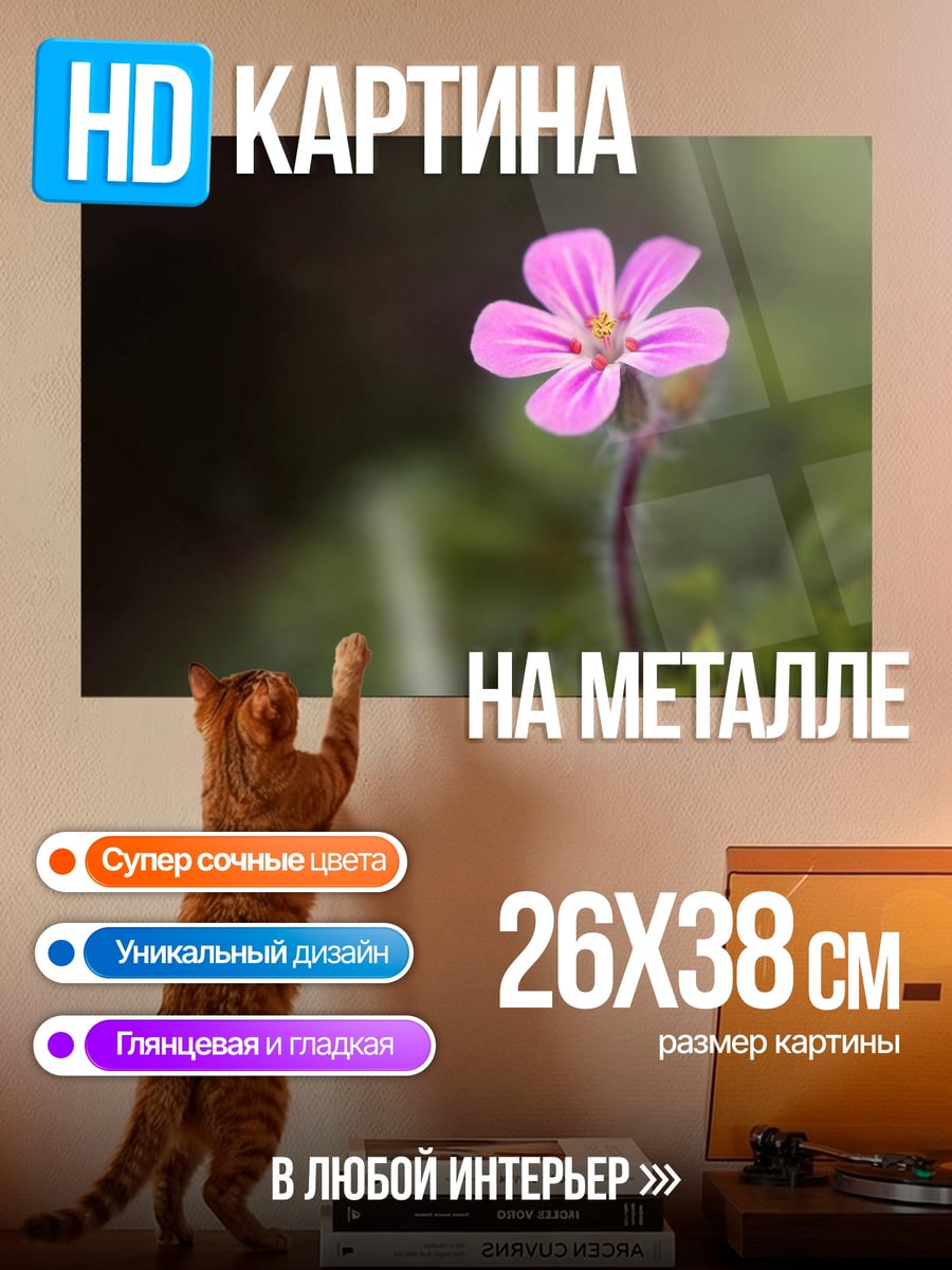 Картина на металле Розовый полевой цветок