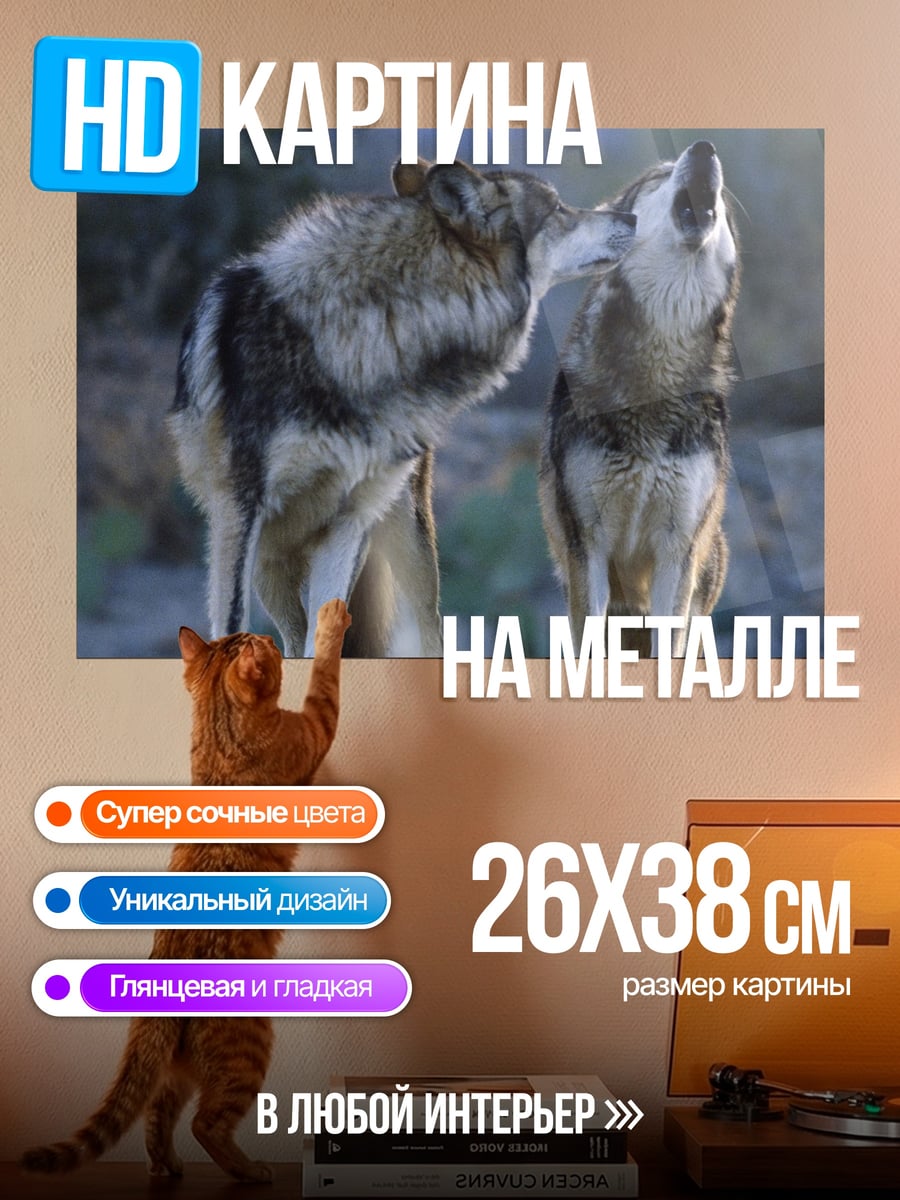 Картина на металле Воющие волки