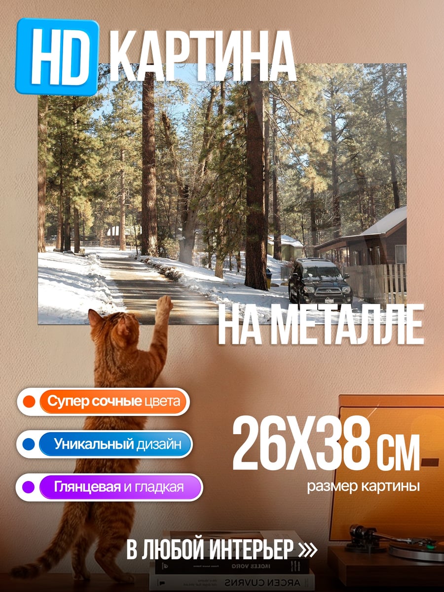 Картина на металле Зимний лес машина